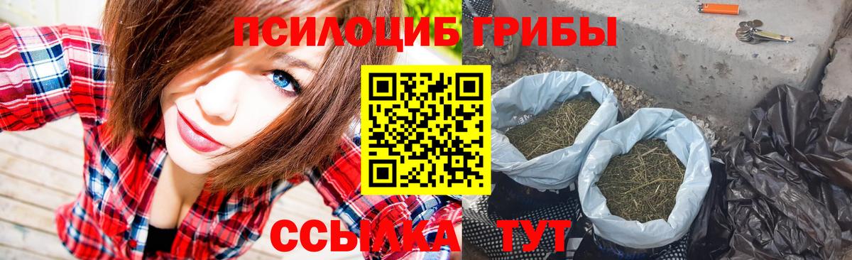 Галлюциногенные грибы мицелий Новороссийск